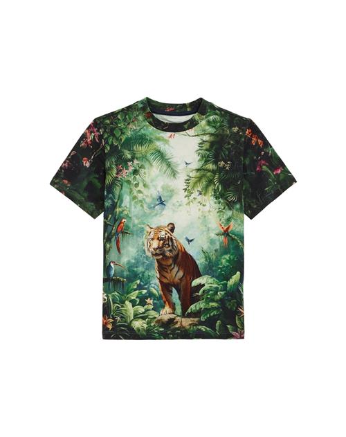 WE Fashion Shirts  lysebrun / grå / mørkegrøn / laks