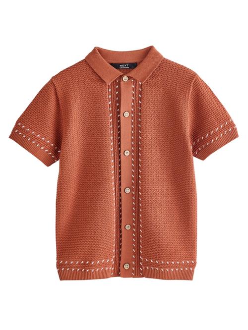 Next Shirts  brun / hvid