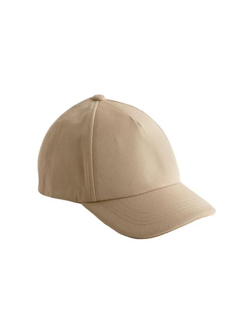 Next Hat  camel