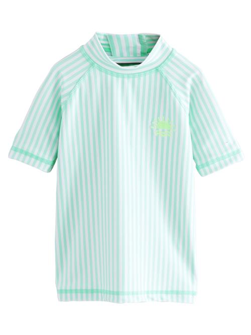 Next Shirts  turkis / hvid