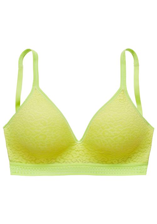LASCANA BH  lime