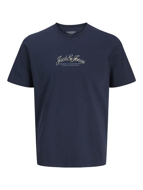JACK & JONES Bluser & t-shirts  blå / hvid