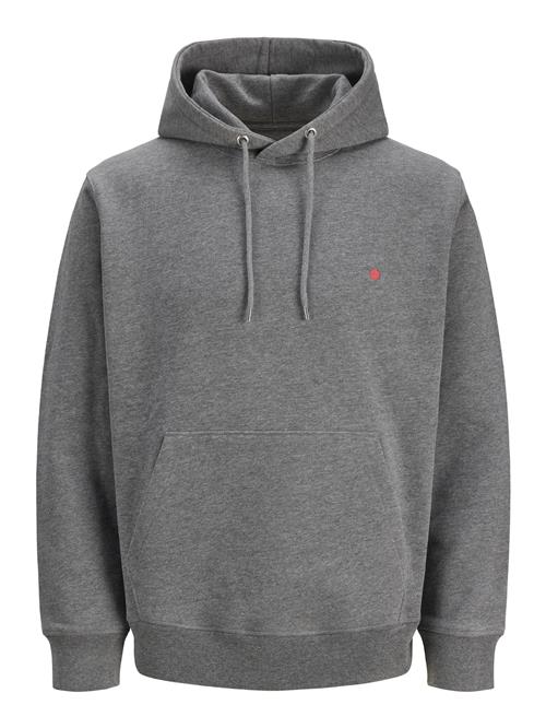 R.D.D. ROYAL DENIM DIVISION Sweatshirt 'RDDKALID'  grå-meleret / rød