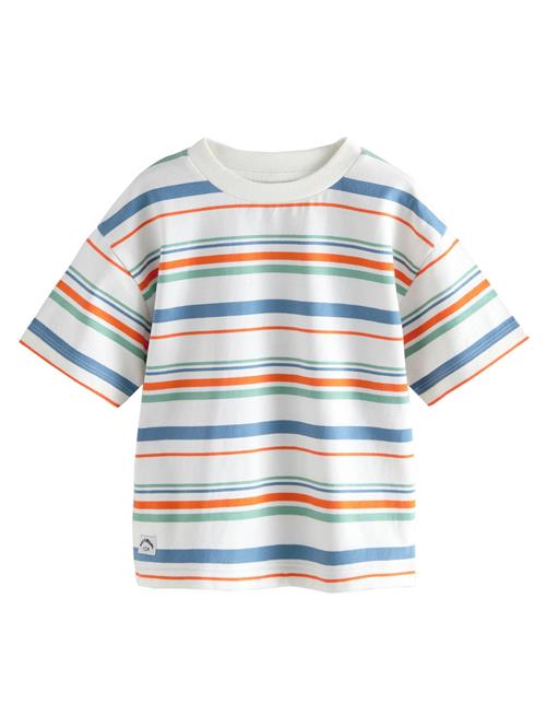 Next Shirts 'gestreift'  blå / grøn / orange