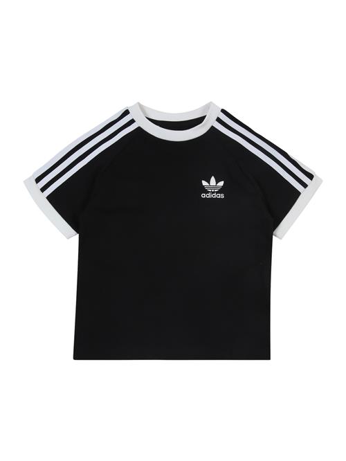 ADIDAS ORIGINALS Shirts 'Adicolor Trefoil'  sort / hvid