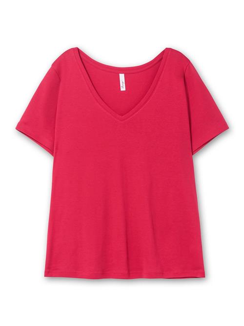 SHEEGO Shirts  hindbær