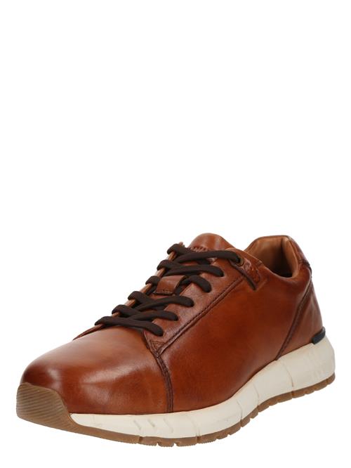 SALAMANDER Sneaker low  cognac