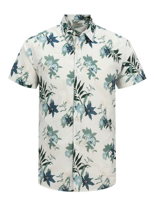 JJ Rebel Skjorte 'JREBBASTIAN'  lyseblå / petroleum / mørkegrøn / hvid