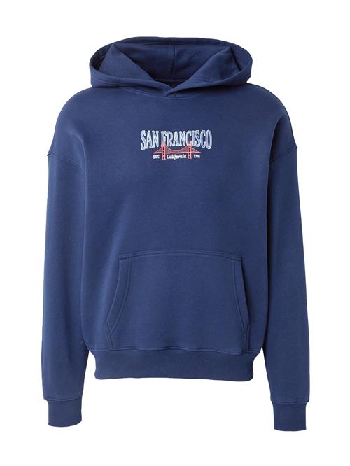 HOLLISTER Sweatshirt 'DESTINATION'  navy / rustrød / hvid