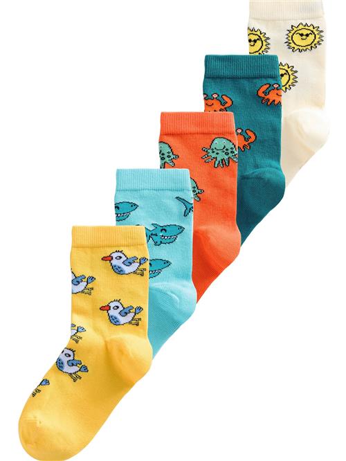 Next Sokker  blandingsfarvet