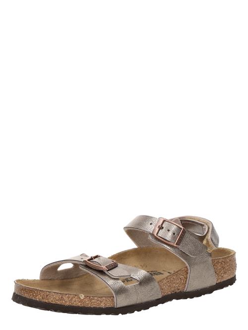 BIRKENSTOCK Åbne sko 'Rio'  bronze