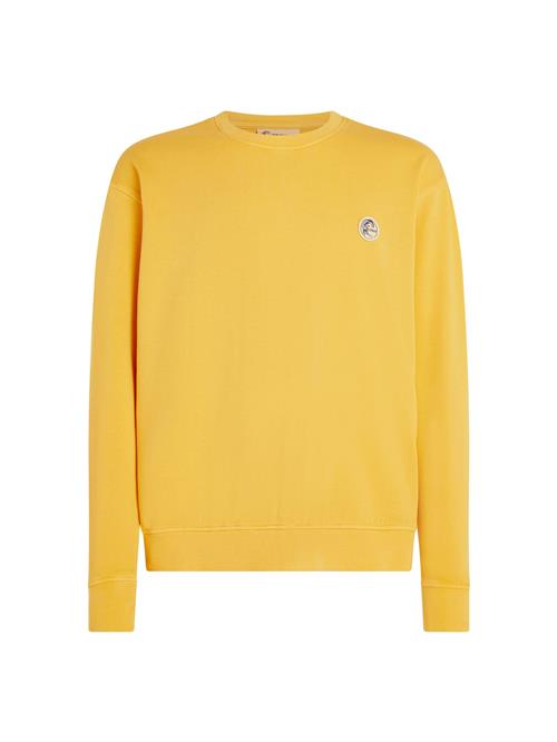 O'NEILL Sweatshirt  gul / lysegul / blandingsfarvet