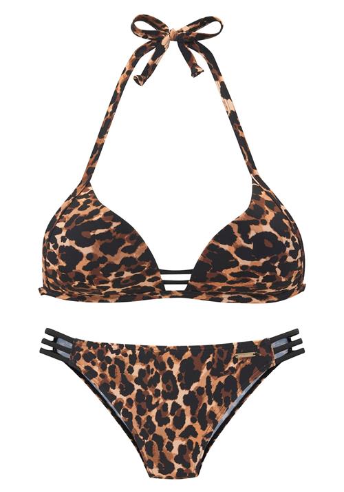 Bruno Banani Bikini  brun / mokka / sort