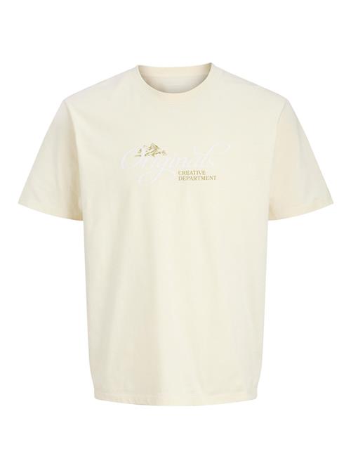 JACK & JONES Bluser & t-shirts  kiwi / hvid / uldhvid