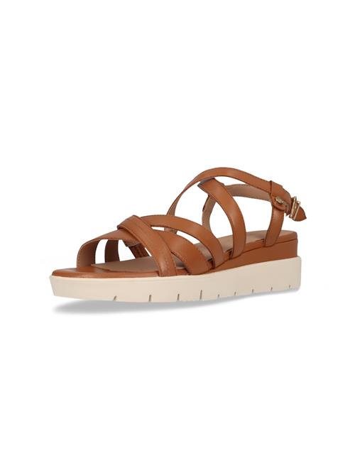 SALAMANDER Sandaler med rem  cognac