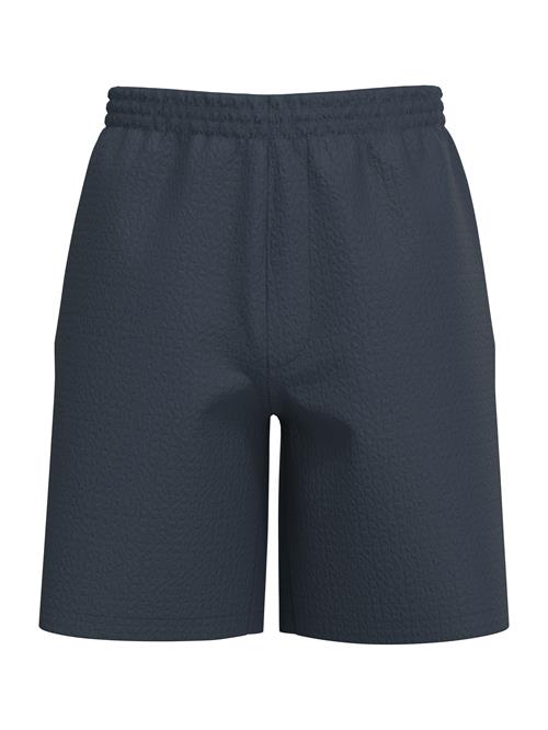 SELECTED Bukser 'SLHAce'  natblå