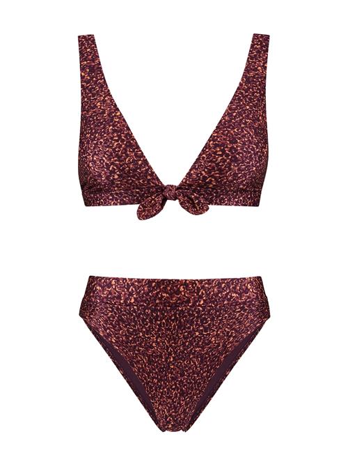 Shiwi Bikini 'Teddy'  lysviolet / brombær / abrikos