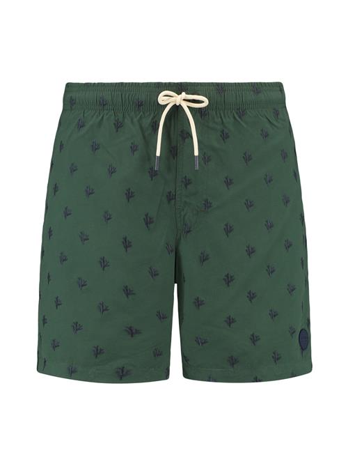 Shiwi Badeshorts 'Mike'  blå / mørkegrøn