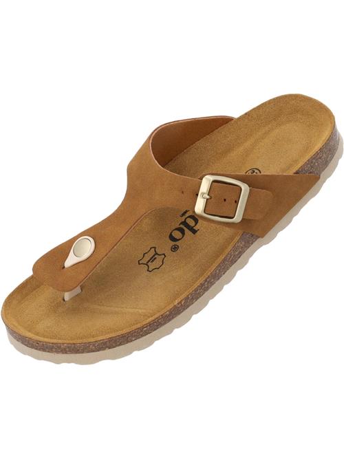 Palado Klipklappere  brun