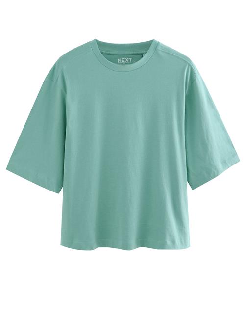 Next Shirts  mint