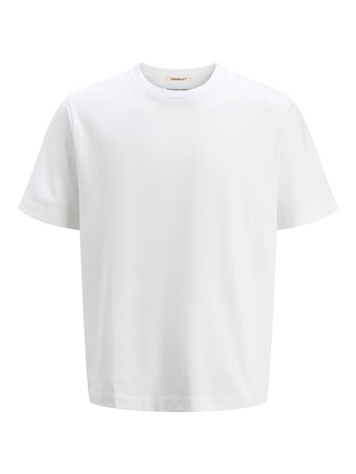 JACK & JONES Bluser & t-shirts 'JORCanggu'  sort / hvid