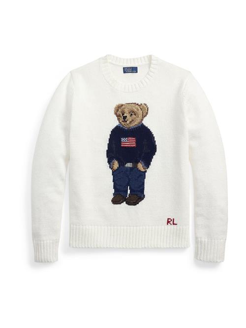 Polo Ralph Lauren Pullover  marin / navy / brun / hvid