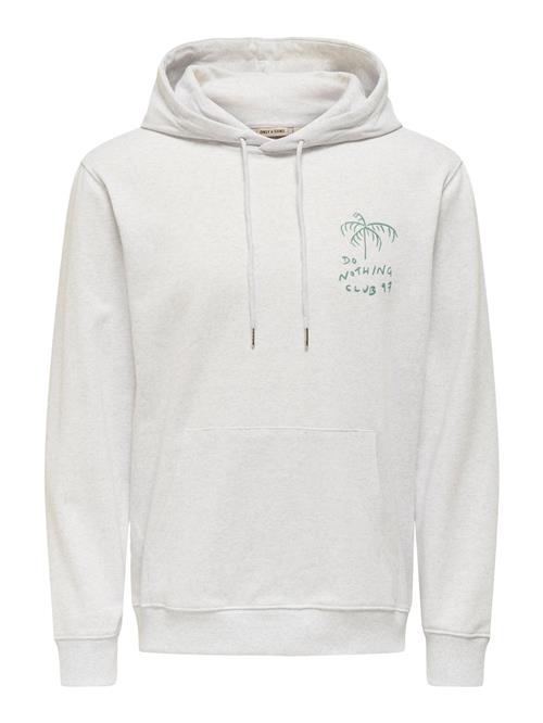 Only & Sons Sweatshirt 'ONSDavid'  grå-meleret / lysegrøn