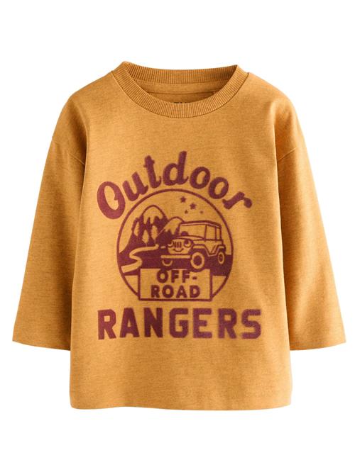 Next Shirts  honning / burgunder