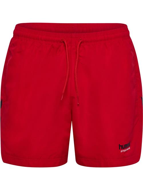 Hummel Boardshorts 'Ned'  rubinrød / sort