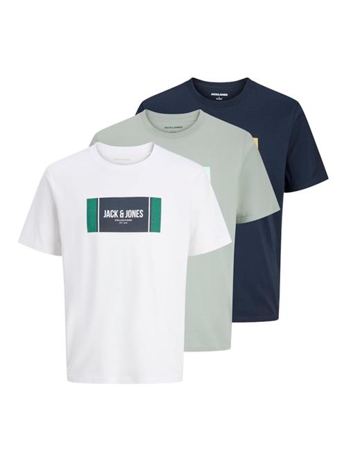 JACK & JONES Bluser & t-shirts 'JJHAYATO'  navy / grøn / pastelgrøn / hvid