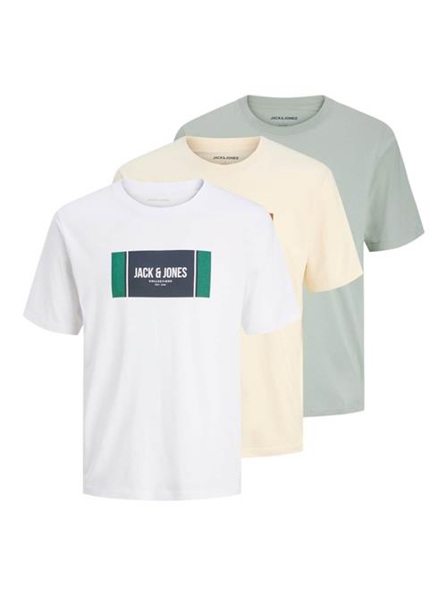 JACK & JONES Bluser & t-shirts 'JJHAYATO'  pastelgul / pastelgrøn / hvid