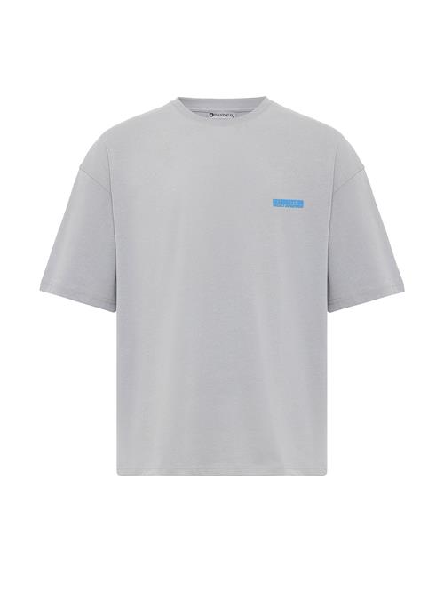 Dandalo Bluser & t-shirts  aqua / grå / sort / offwhite