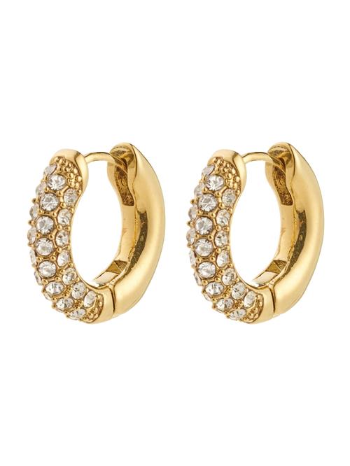 Pilgrim Øreringe 'Tatum'  guld / transparent