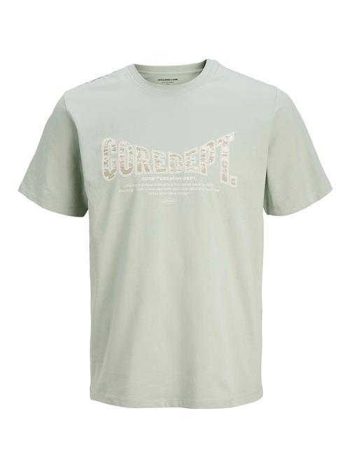 JACK & JONES Bluser & t-shirts  mørkebeige / mint / uldhvid