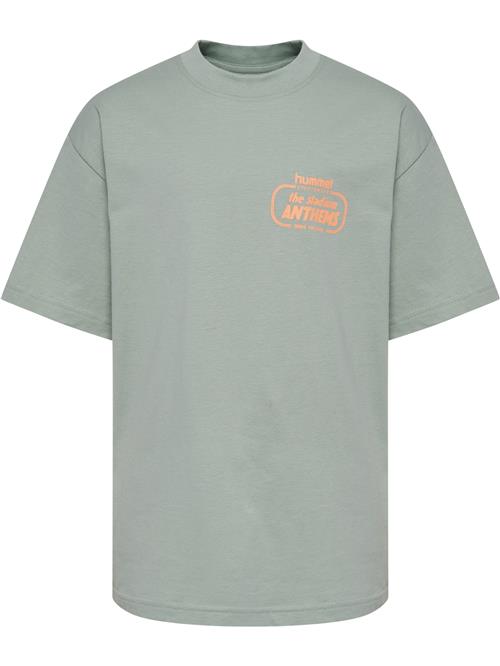 Hummel Shirts 'Stadium'  pastelgrøn / orange