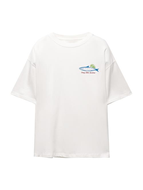 Pull&Bear Shirts  royalblå / grå / rød / offwhite