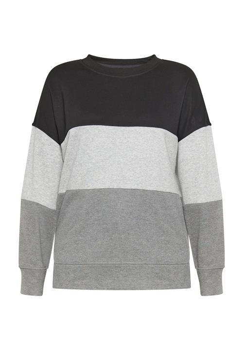 FELIPA Sweatshirt  grå / lysegrå / sort