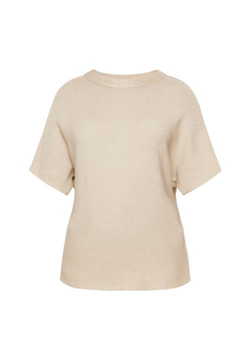 FELIPA Pullover 'Fashion Look'  lysebeige