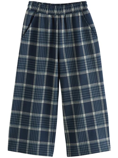 Next Bukser  navy / offwhite