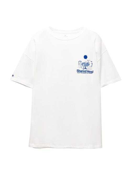 Pull&Bear Shirts  blå / lysegrå