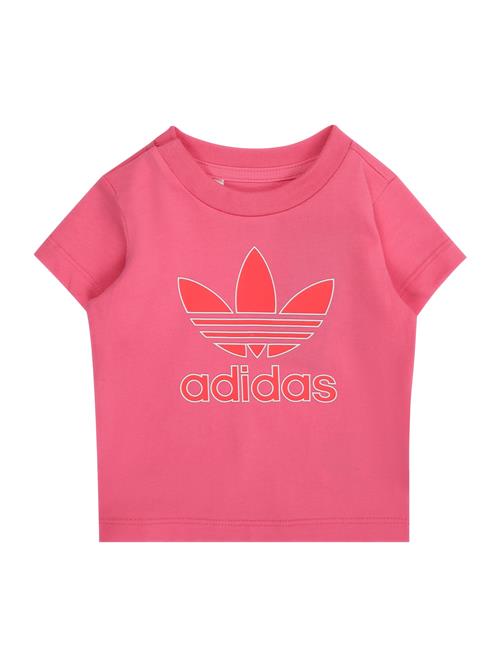 ADIDAS ORIGINALS Bluser & t-shirts 'TREFOIL'  orange / pink / hvid