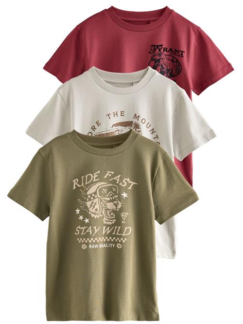 Next Shirts  grå / oliven / rød
