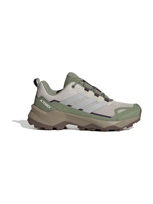 ADIDAS TERREX Lave sko 'SKYCHASER AX5'  greige / khaki / sort / hvid