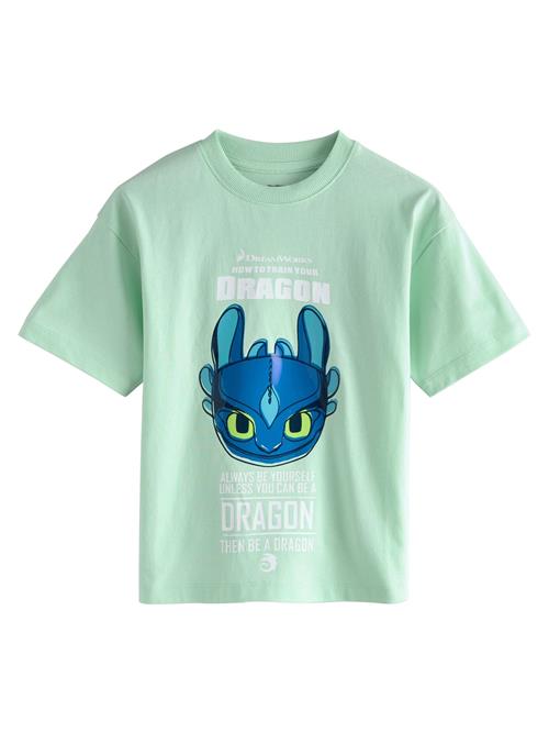 Next Shirts 'How To Train Your Dragon'  blå / royalblå / mint / hvid