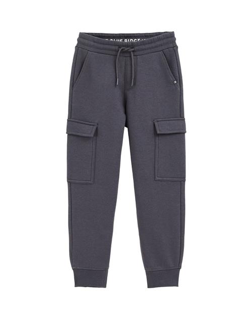 WE Fashion Bukser  mørkegrå