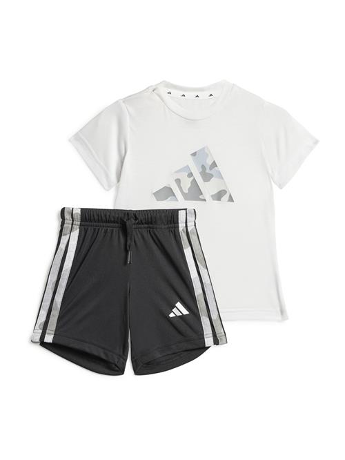 ADIDAS SPORTSWEAR Træningsdragt 'Essentials'  grå / lysegrå / sort / hvid
