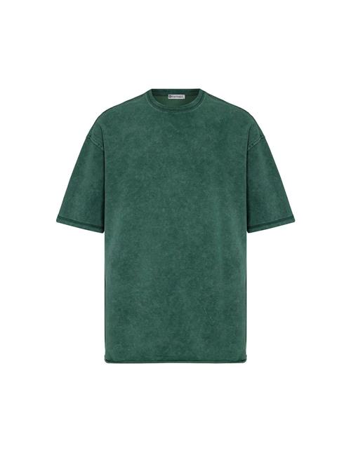 Dandalo Bluser & t-shirts 'Dylan'  grøn