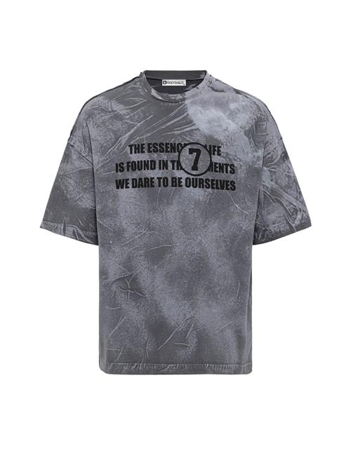 Dandalo Bluser & t-shirts  lysegrå / mørkegrå / sort