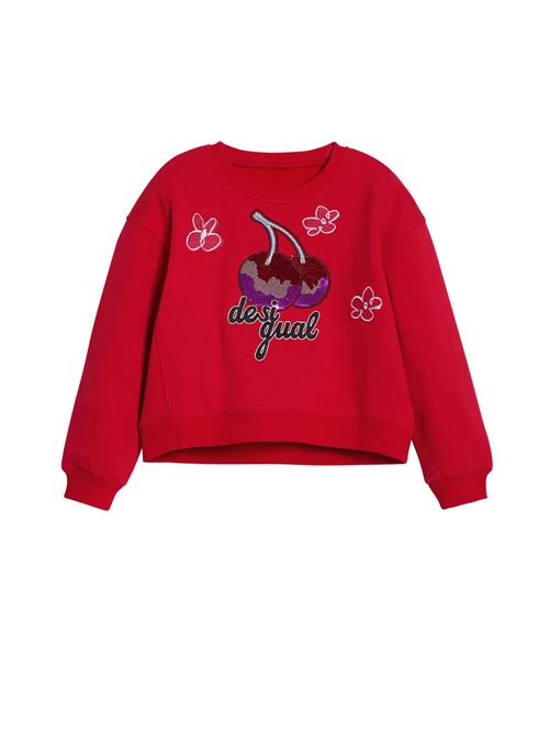 Desigual Sweatshirt  blandingsfarvet / rød