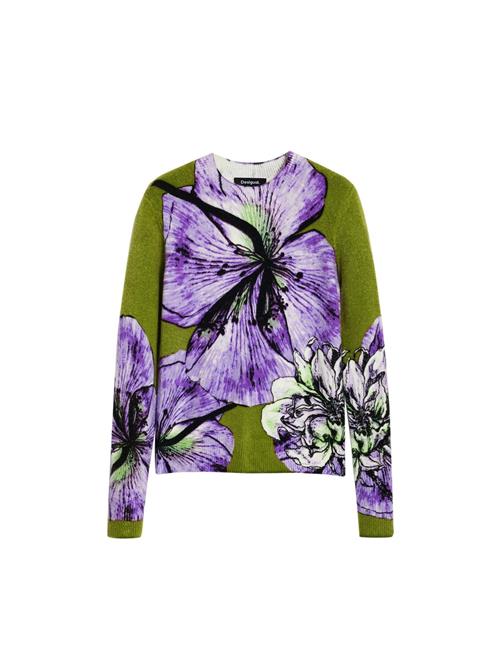 Desigual Pullover  oliven / blandingsfarvet